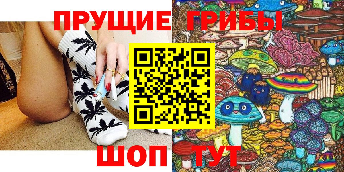 Псилоцибиновые грибы Psilocybine cubensis Лесосибирск